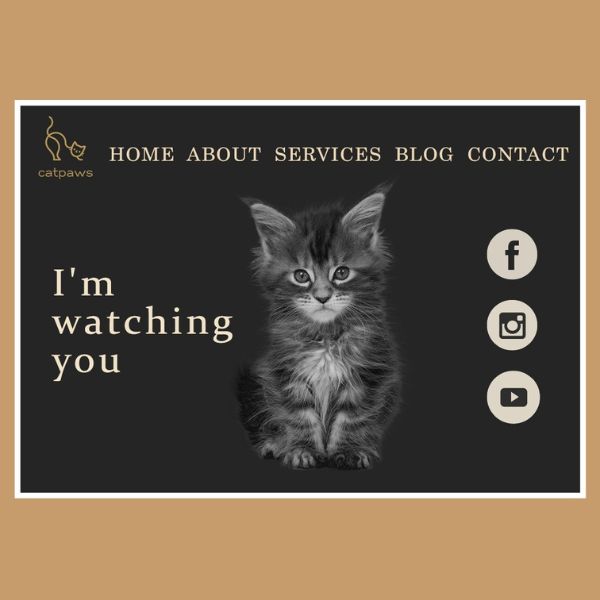 Cat Care Website Design